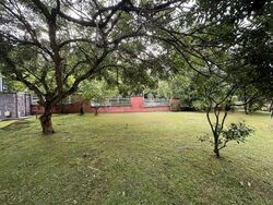 Lornie Road (D11), Semi-Detached #458170271